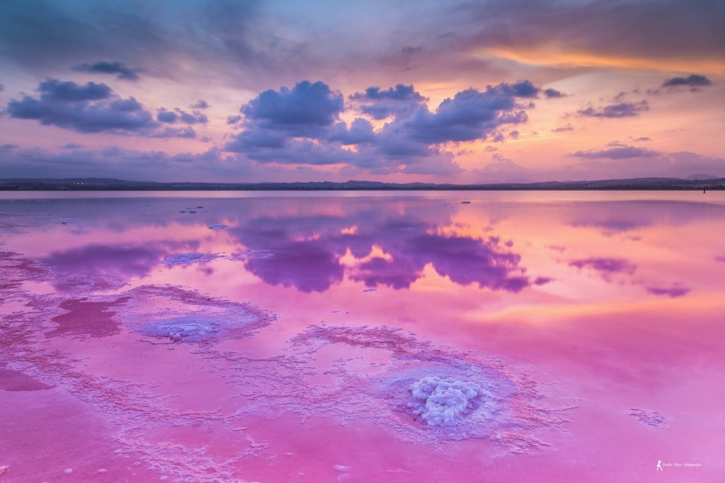 розовое озеро сенегала (2).jpg