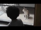 Мальчишка разговаривает с котом на его же языке))