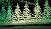 Winter Wonderland 2008 - Holdman Christmas Display
