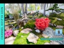 Дзен сад, японский сад. Как сделать японский сад