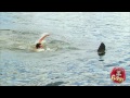 Stranded Sexy Topless Bikini Girl Shark Attack Prank
