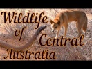 Дикая природа Австралии