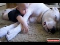 Смешные видео с собаками и детьми / Best Funny Dogs & Kids
