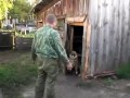 Забавный пес, который умеет закрывать за собой дверь
