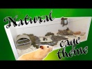 NATURAL Hamster Cage Theme. Hamster cage tour