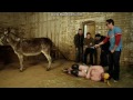 Jackass 3, Pin the Tail on the Donkey!