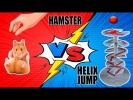 Хомяк против спирального прыжка.  Hamster VS Helix