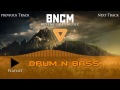 Nimanslin Melody Of The Last  [Drum n Bass]