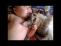 Кот, который обожает новорожденного малыша
