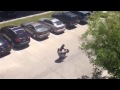 Неожиданно  лабрадор катается на мотоцикле