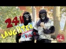 24 HOUR JUST FOR LAUGHS LAUGH TRACK - VOLUME 1