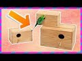Как сделать гнездо для попугая