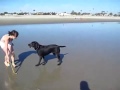 Забавный пес растерялся на пляже