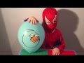 Маленький человек паук vs шарики Angry Birds