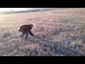 Жуткий бой со зверем  Приколы с животными Смотреть интересное смешное видео