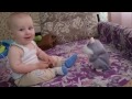 Малыш и говорящий хомяк