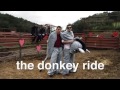 Jackass best moments of all time