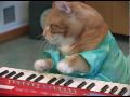 The Return of The Keyboard Cat