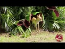 Carnivorous Plant Eats Puppy