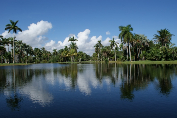 Тропический ботанический сад Fairchild (1).jpg