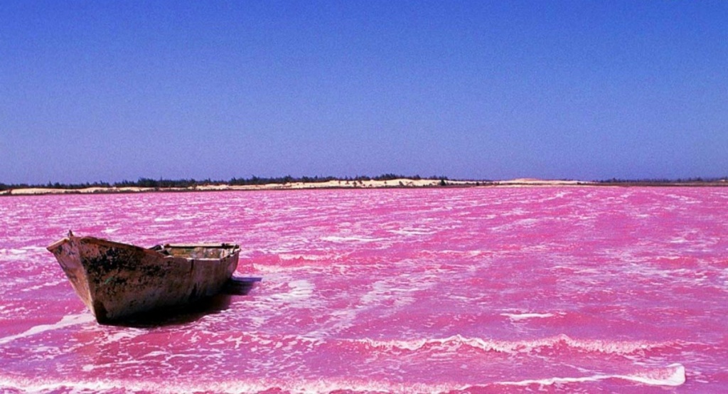 розовое озеро сенегала (3).jpg