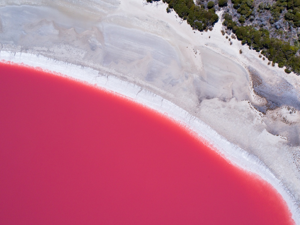 розовое озеро сенегала (16).jpg
