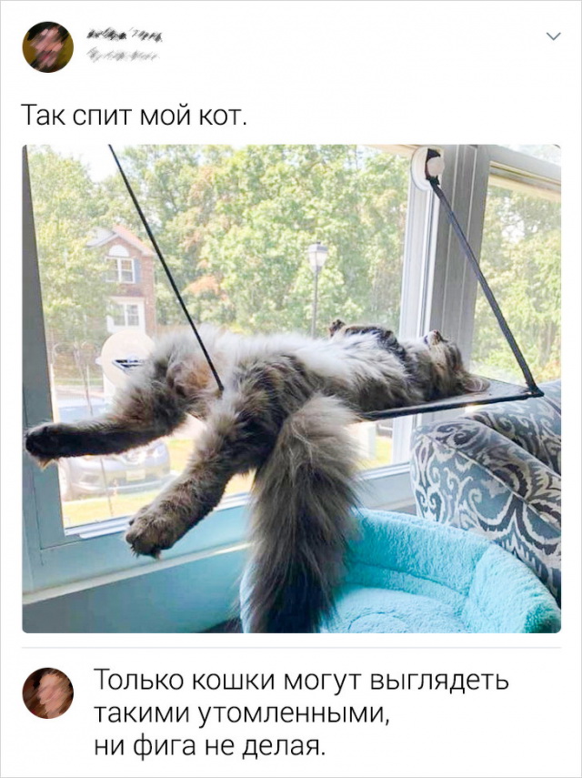 забавные скриншоты из соцсетей (11).jpg