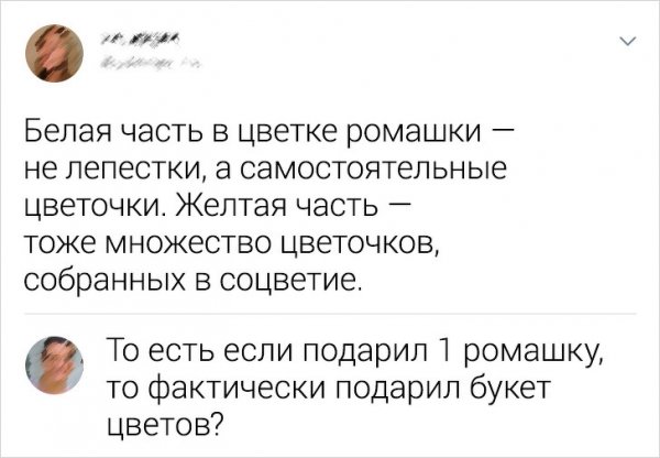 забавные скриншоты из соцсетей (3).jpg