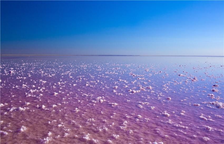 розовое озеро сенегала (15).jpg