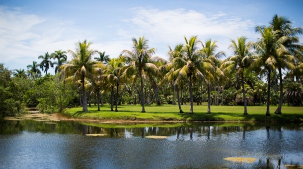 Тропический ботанический сад Fairchild (4).jpg