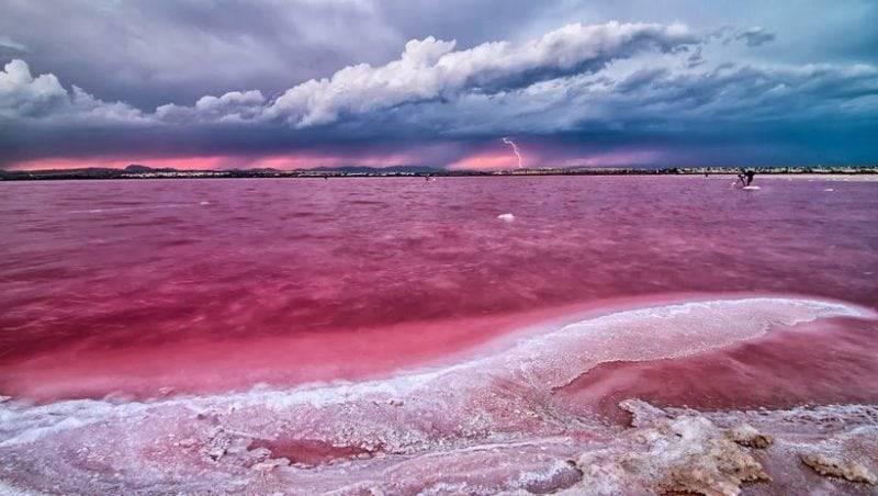 розовое озеро сенегала (14).jpg