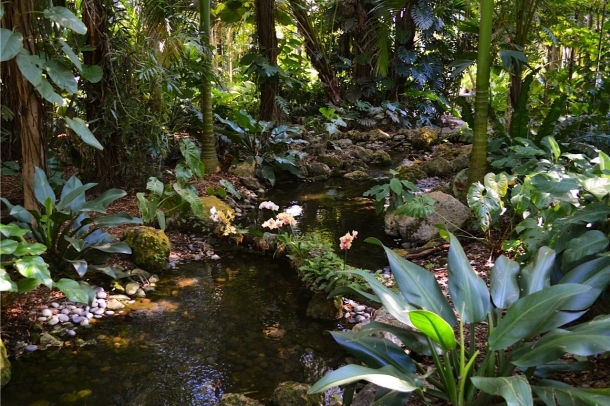 Тропический ботанический сад Fairchild (5).jpg