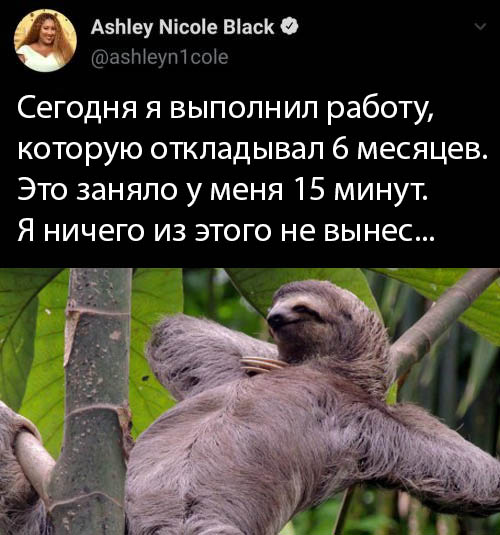 забавные скриншоты из соцсетей (9).jpg