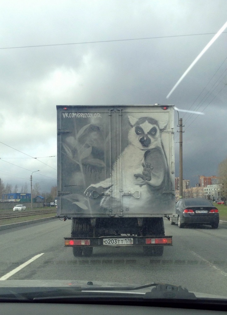забавные картинки (18).jpg